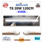 LED Neon Panjang TL T8 Tube 20W 120 cm | Brilux - High Quality